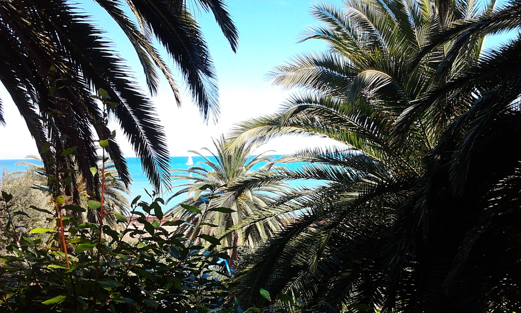 Ferragosto mare palme barca a vela a Pedaso