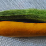 zucchina gialla e zucchina verde