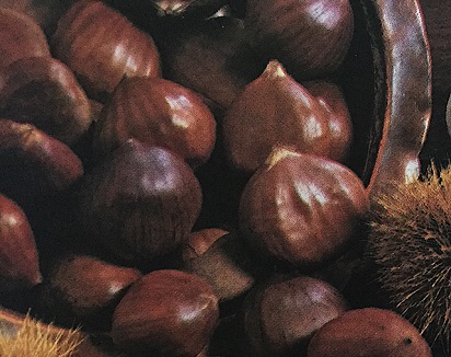 Le castagne, questo frutto semplice ma così ricco di sostanze nutritive. Preparazione di ricette a base di farina di castagne come i panini dolci con farina di castagne, budino con farina di castagne e il famoso Castagnaccio. Provate le nostre ricette