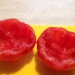 Pomodori scavati per preparazione pomodori ripieni, naturalmente senza grassi animali, solo ingredienti vegetali